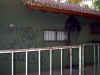 DSC00017.jpg (43369 bytes)